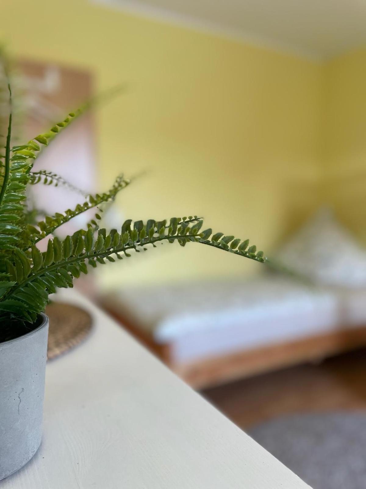 Modernes Apartment Im Gruenen, Mit Park- Und Meer-Naehe 巴德茨维什安 外观 照片