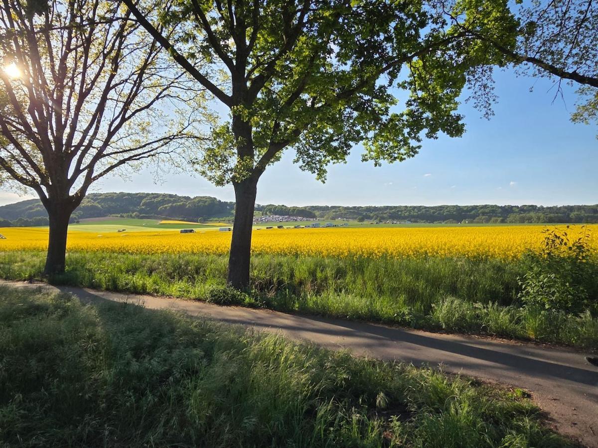 Modernes Apartment Im Gruenen, Mit Park- Und Meer-Naehe 巴德茨维什安 外观 照片
